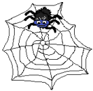 web spinne